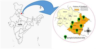 Plant-beneficial Bacillus, Pseudomonas, and Staphylococcus spp. from Kumaon Himalayas and their drought tolerance response